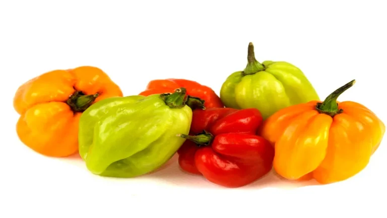 The Scotch Bonnet Pepper: A Culinary Treasure of the Caribbean