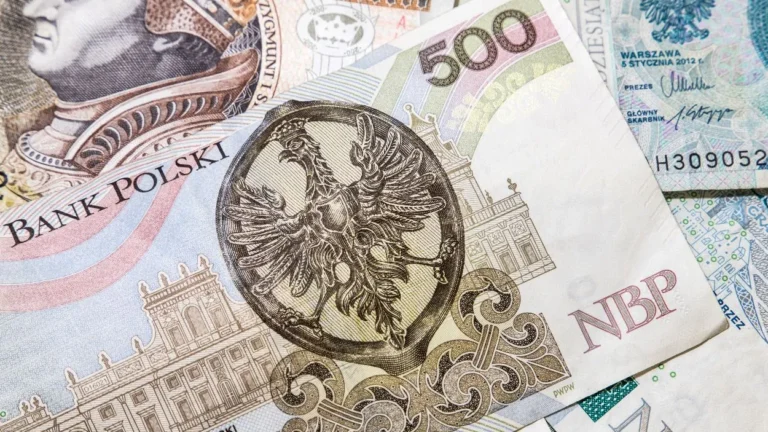Znaczenie finansów w prowadzeniu firmy – klucz do stabilności i rozwoju